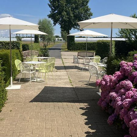 Tannine Et Cuisine Villa Jabbeke  Exteriör bild