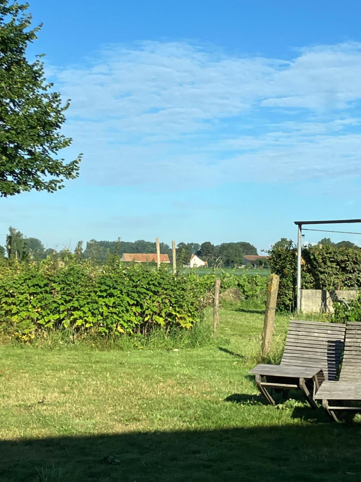 Tannine Et Cuisine Villa Jabbeke  Exteriör bild